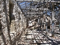 Eladó az egykori jugoszláv börtönsziget, Goli otok - galéria kép