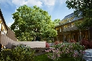 Völgy Liget - Tavaszi nyíl nap május 25-én - galéria kép