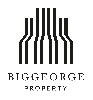 Biggeorge Property